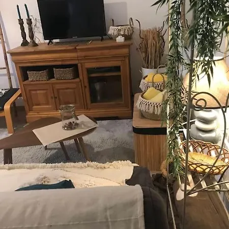 Apartment Harmony Of Nature - 4 Pers - Near Eurexpo And Groupama Stadium